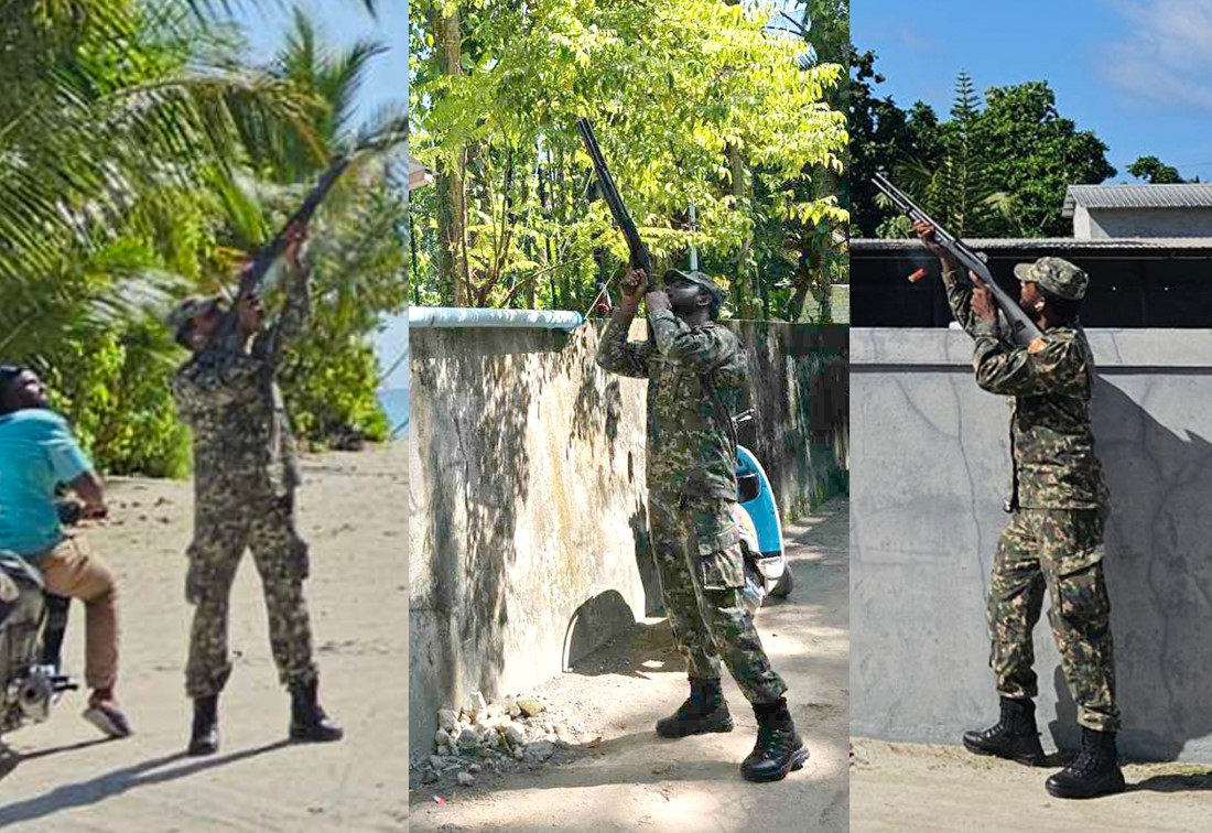 ތޮއްޑޫގައި ވާ މަރަން ސިފައިން ބަޑިޖަހަން ފަށައިފި